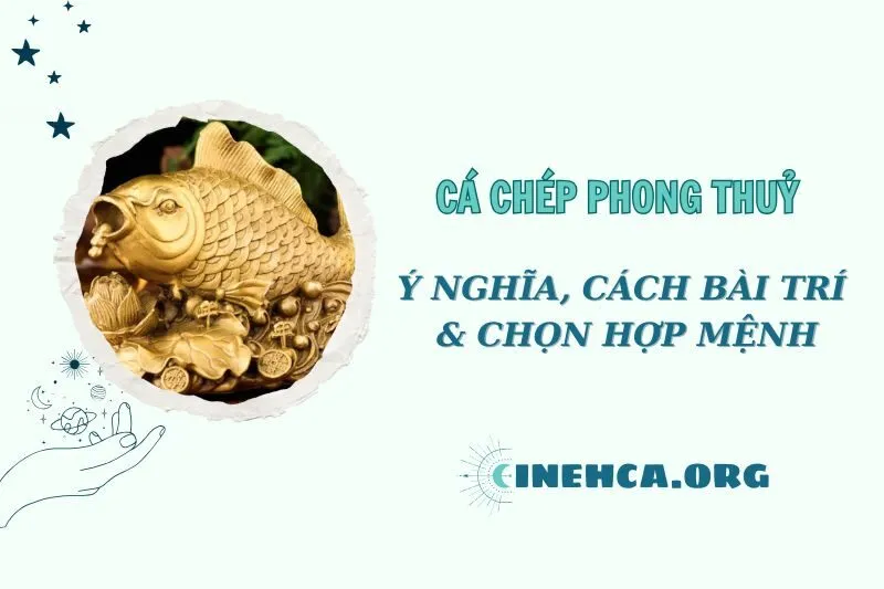 Khám phá Cá Chép phong thủy và cách bài trí chuẩn 2025