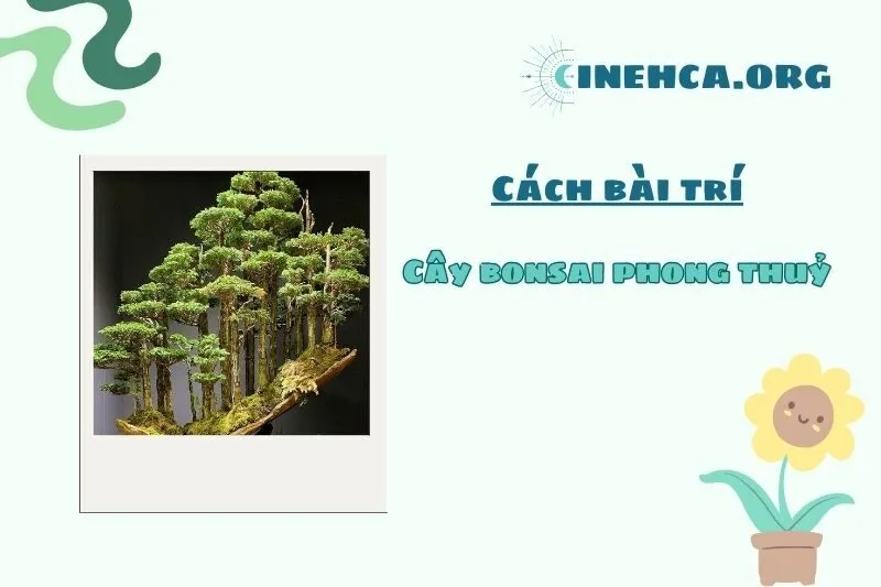 Các vị trí phù hợp để đặt cây Bonsai