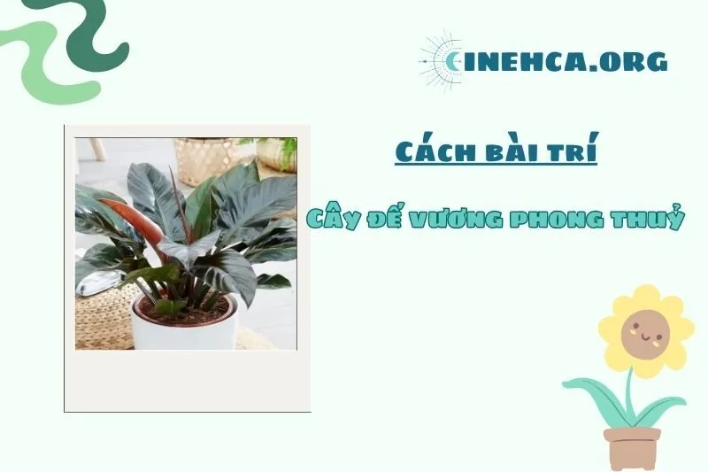 Vị trí đặt cây đế vương phong thủy trong nhà