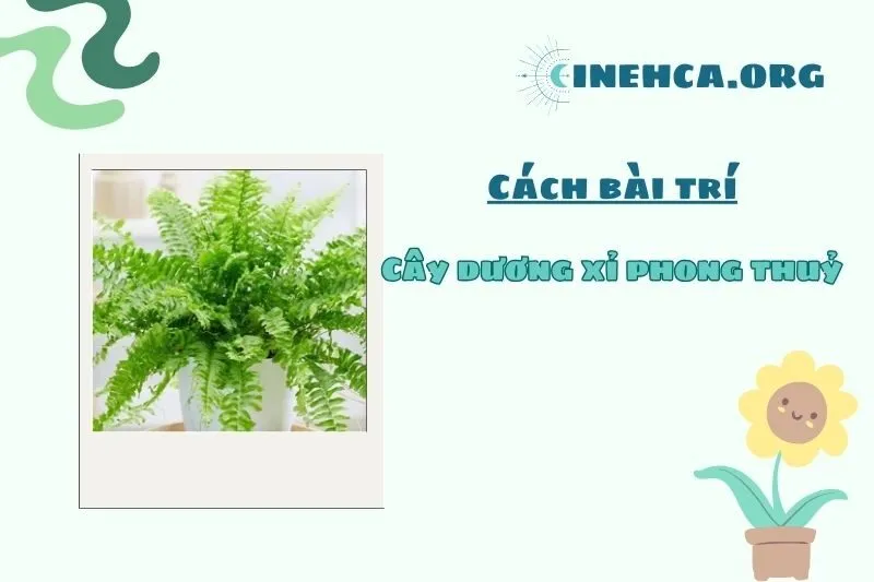 Vị trí đặt cây dương xỉ để phát huy tối đa ý nghĩa phong thủy