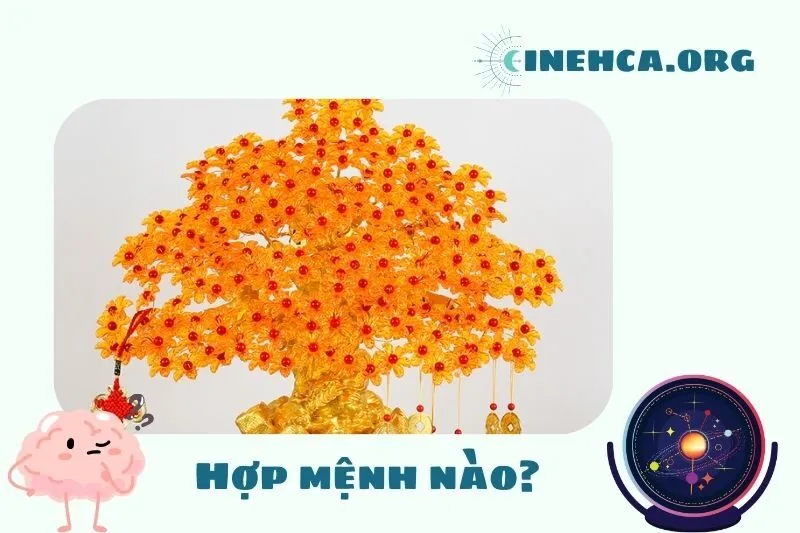 Cây kim tiền hợp mệnh nào?