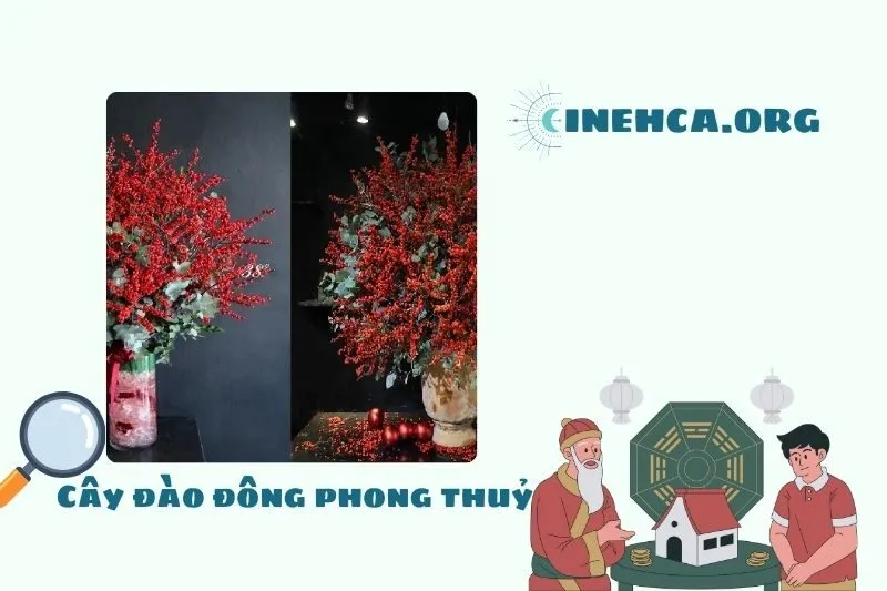 Cây đào đông là cây gì?
