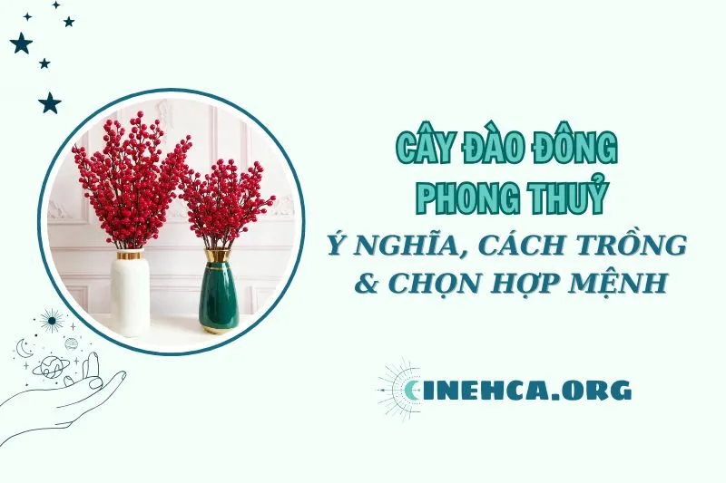 Cây đào đông phong thủy: Ý nghĩa, cách trồng và chăm sóc 2025