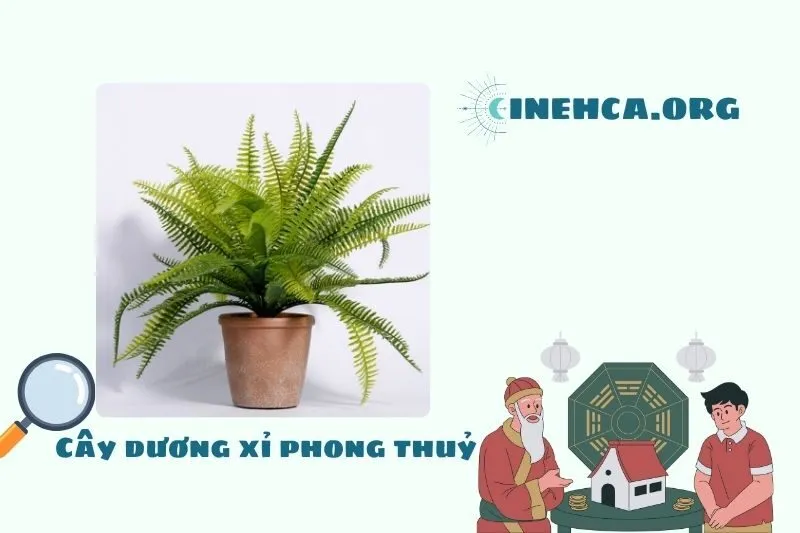 Nguồn gốc, đặc điểm cây dương xỉ