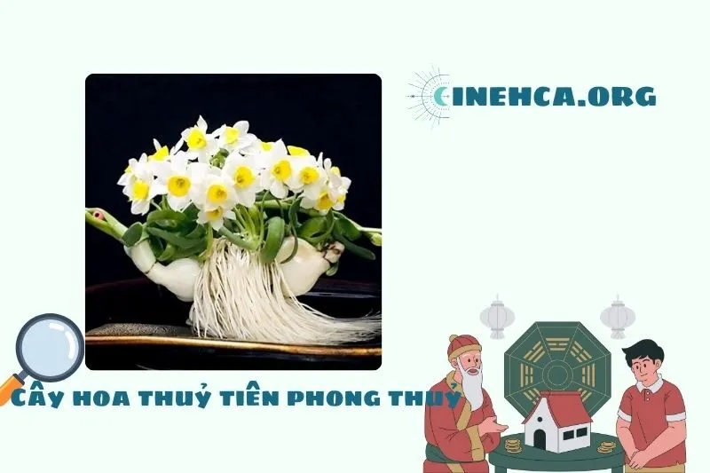 Cây hoa thủy tiên là cây gì?