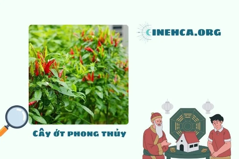 Ý nghĩa của cây ớt