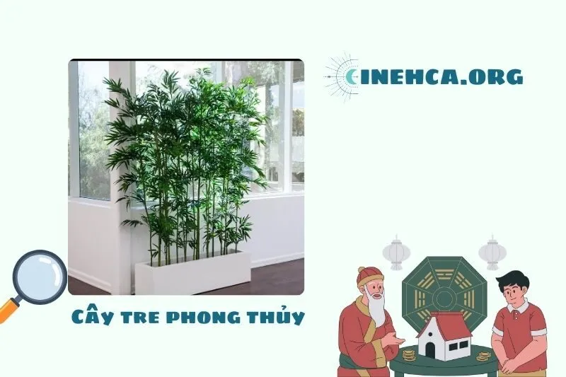 Ý nghĩa của cây tre phong thủy