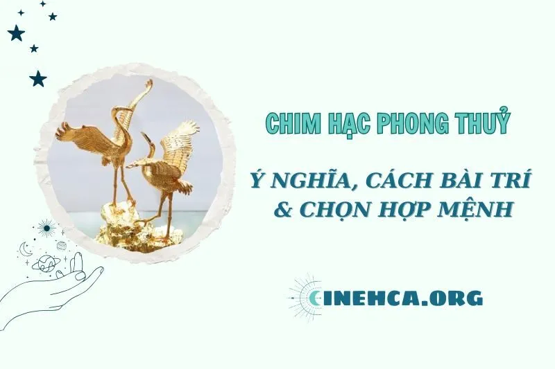Chim Hạc Phong Thuỷ 2025: Ý Nghĩa và Cách Bài Trí Chuẩn