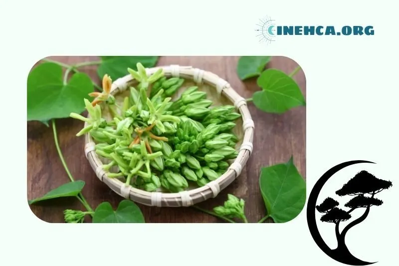 Công dụng của hoa thiên lý