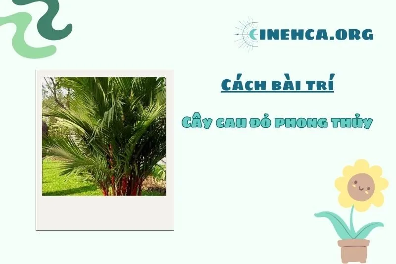 Cách sử dụng cây cau đỏ trong không gian sống
