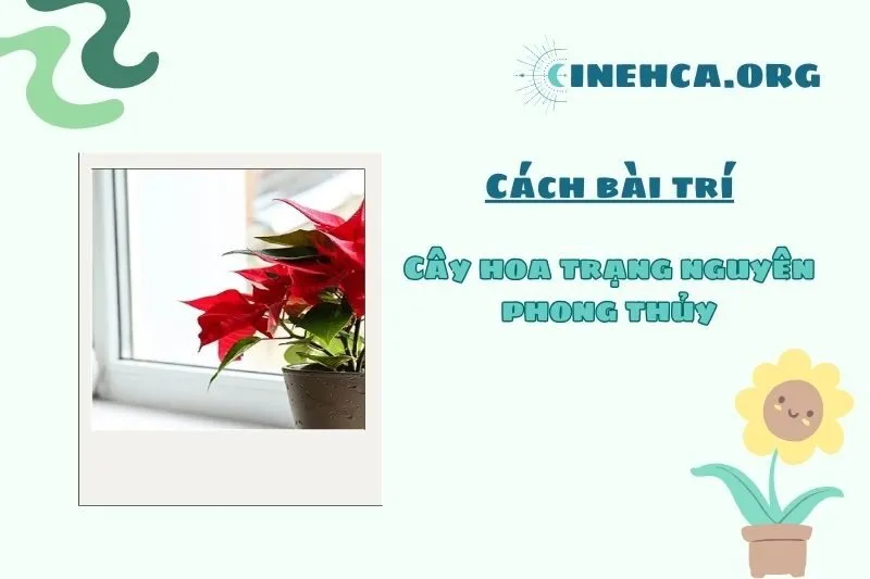 Cách đặt cây hoa trạng nguyên phong thủy trong nhà để phát huy ý nghĩa