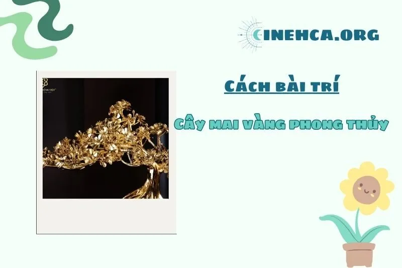 Cách đặt cây mai vàng phong thủy trong nhà