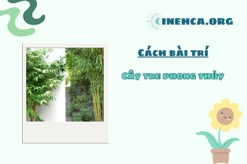 Cây tre phong thủy nên đặt ở đâu để thu hút tài lộc?