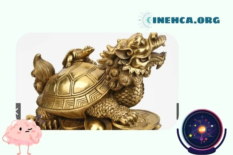 Long Quy hợp mệnh nào?