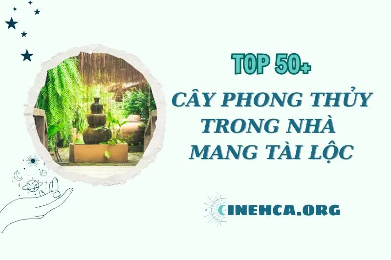 Top 50+ Cây Phong Thủy Trong Nhà Mang Lại Tài Lộc May Mắn 2025