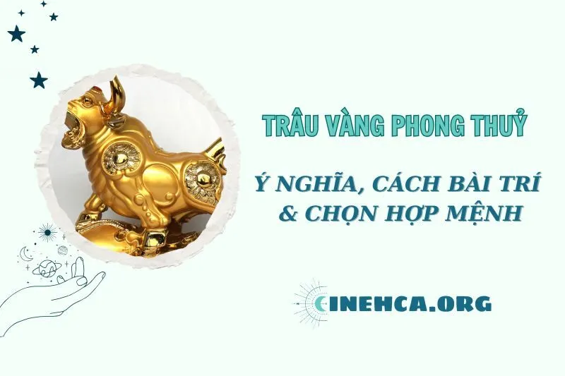 Trâu Vàng phong thuỷ 2025: Ý nghĩa và cách đặt đúng chuẩn