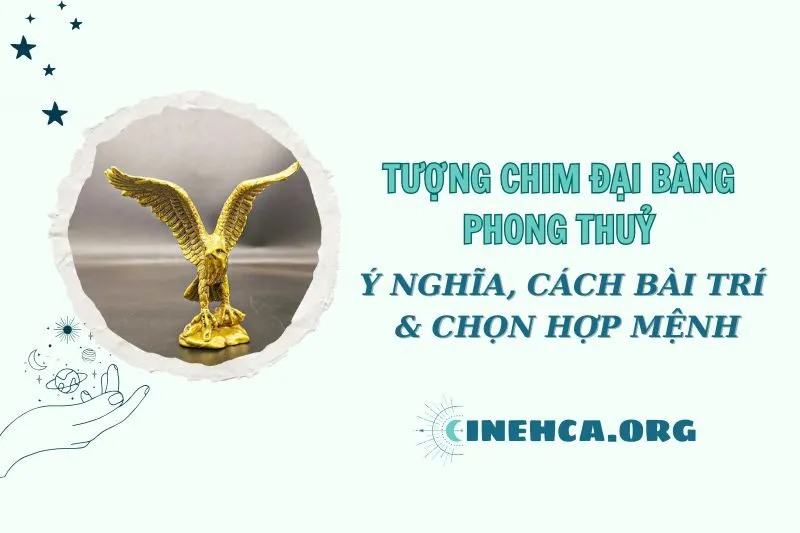 Tượng Chim Đại Bàng Phong Thuỷ 2025: Ý Nghĩa và Cách Đặt