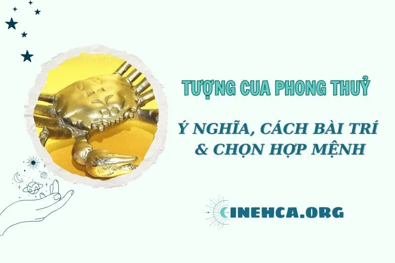Khám Phá Ý Nghĩa Tượng Cua Phong Thuỷ 2025 Và Cách Sử Dụng