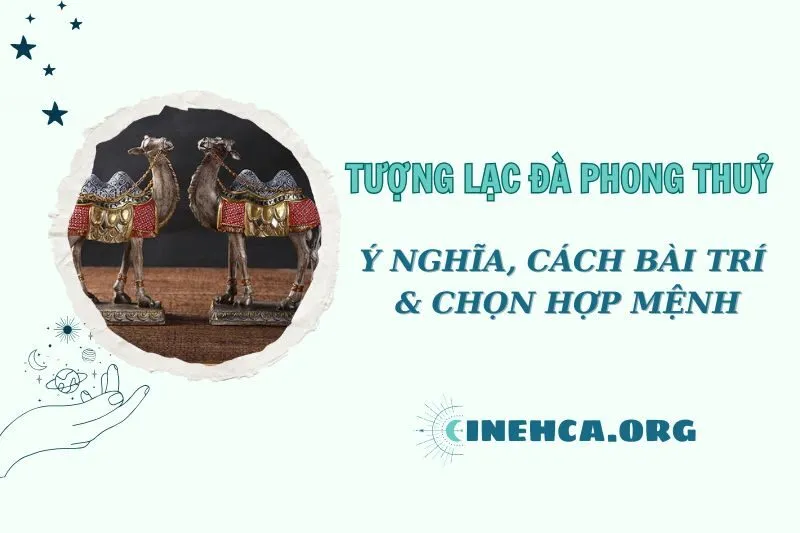 Tượng Lạc Đà Phong Thủy 2025: Ý Nghĩa, Cách Đặt, Hợp Mệnh