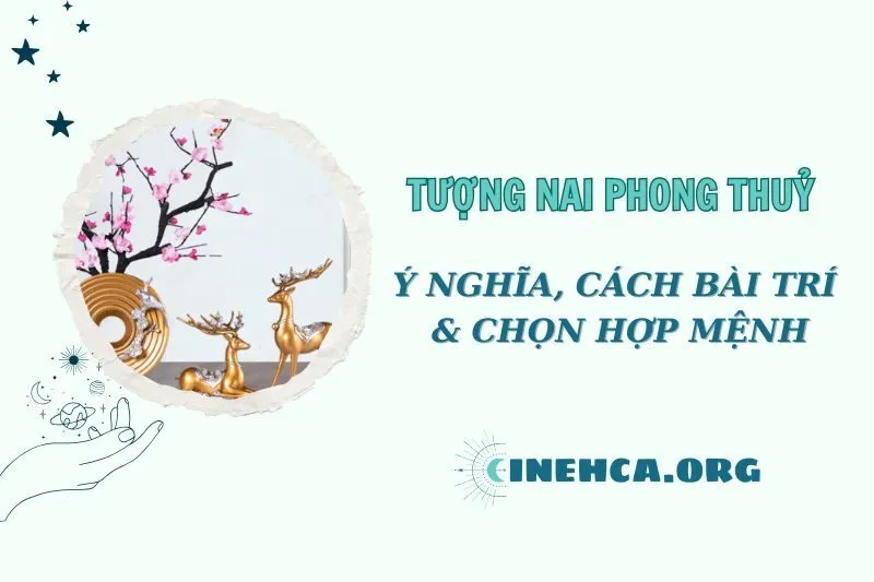 Tượng Nai phong thủy 2025: Ý nghĩa, cách đặt và hợp mệnh nào