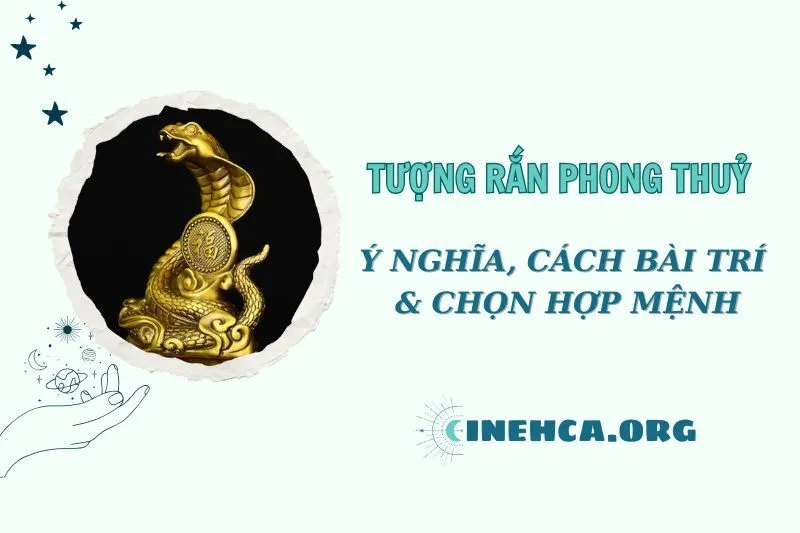 Khám Phá Ý Nghĩa và Cách Đặt Tượng Rắn Phong Thuỷ 2025