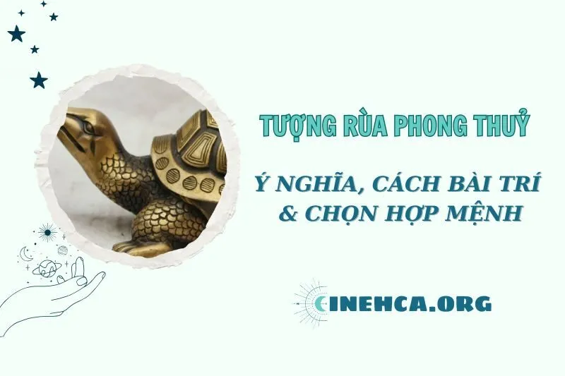 Tượng Rùa Phong Thủy: Ý Nghĩa và Cách Đặt Đúng Chuẩn 2025
