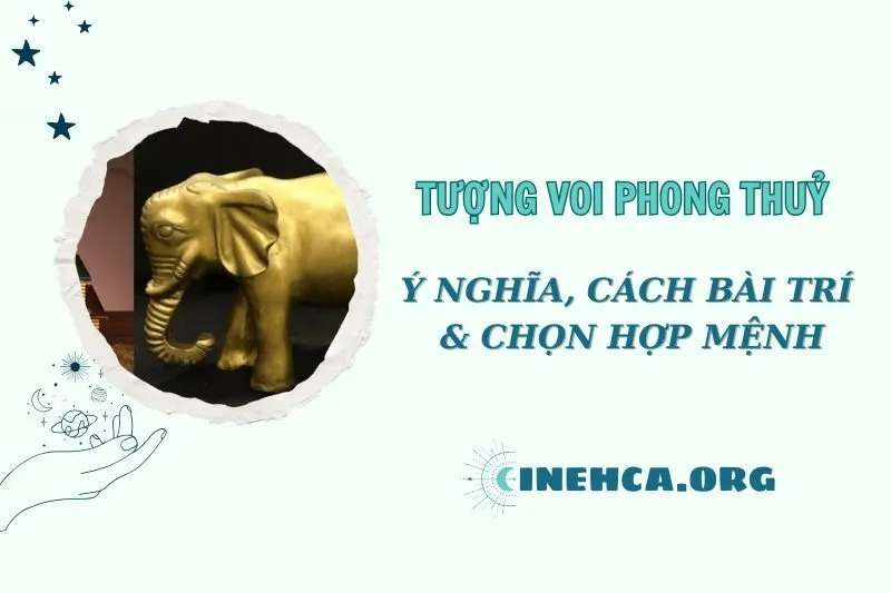 Tượng Voi phong thủy: Ý nghĩa và cách sử dụng đúng năm 2025
