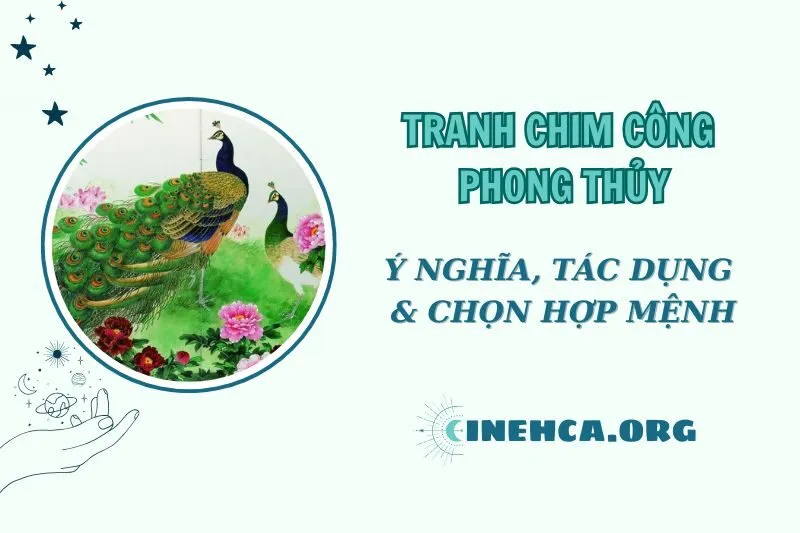 Tranh Chim Công Phong Thủy 2025: Ý Nghĩa và Cách Treo Đúng Hướng