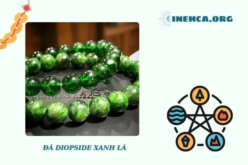 Cách Bảo Quản và Sử Dụng