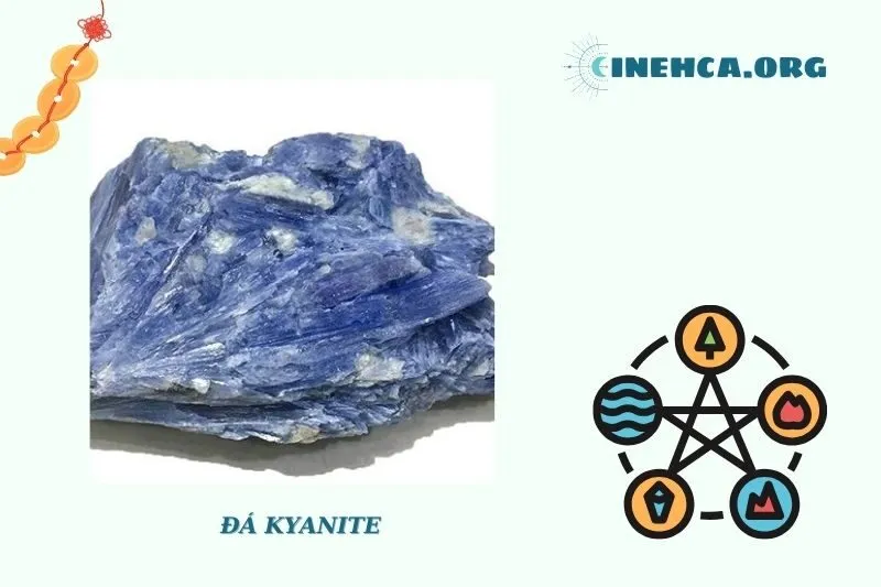 Cách bảo quản và chăm sóc