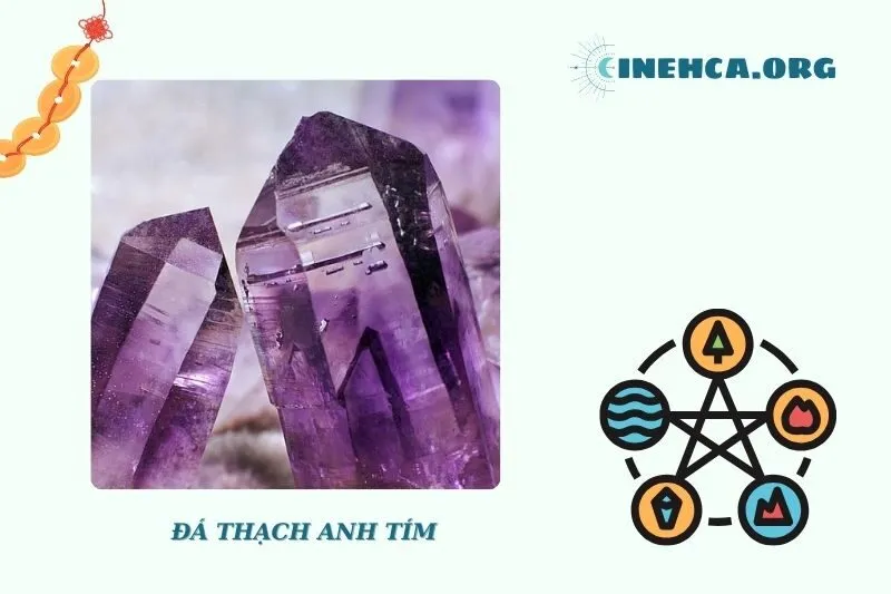 Bảo quản và tẩy uế