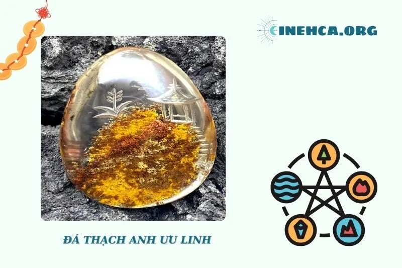 Cách sử dụng và bảo quản