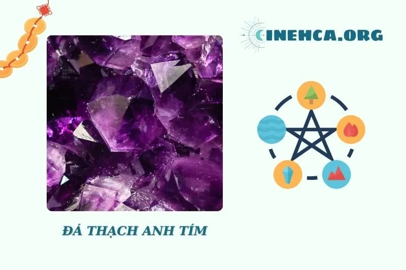 Công dụng và lợi ích trong sức khỏe